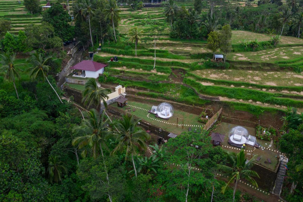 Bubble Hotel Ubud Payangan Exterior foto