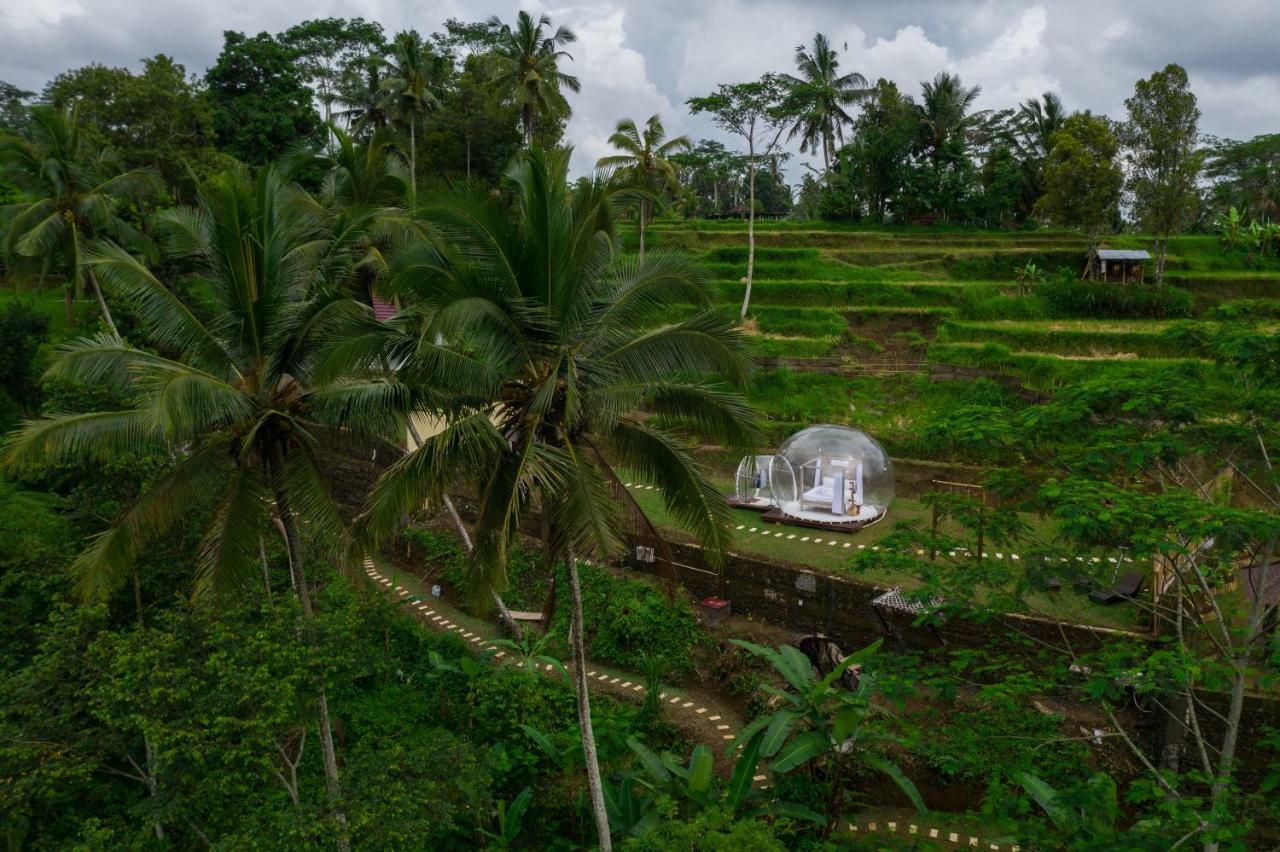 Bubble Hotel Ubud Payangan Exterior foto